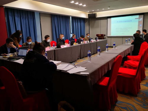 我院技术咨询成果显著 恒大童话山水城桐溪古镇项目顺利通过省绿专委评审